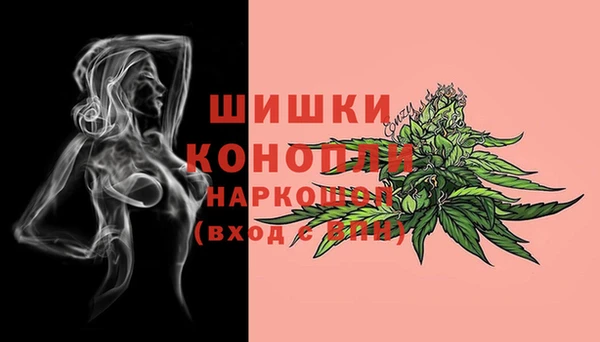 СК Покачи