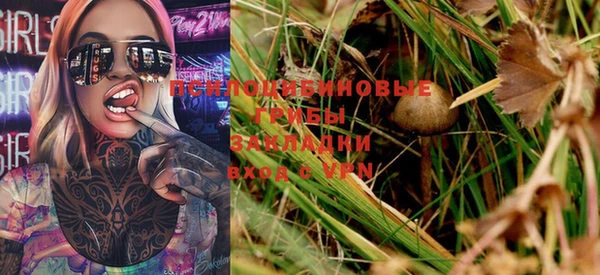 МДПВ Осинники