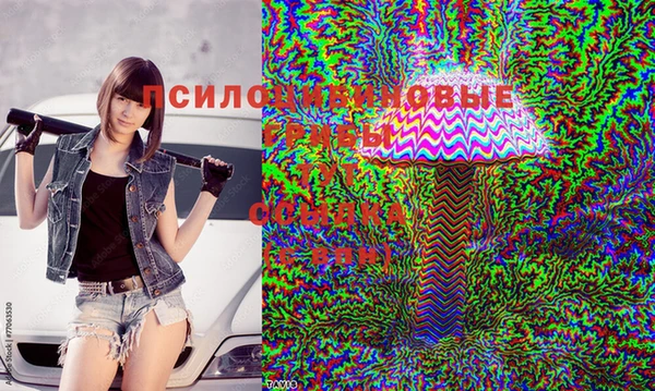 синтетический гашиш Осташков