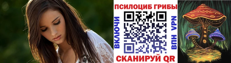 Псилоцибиновые грибы мицелий Прохладный