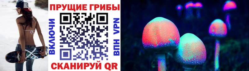 kraken как войти  Прохладный  Галлюциногенные грибы Psilocybe 