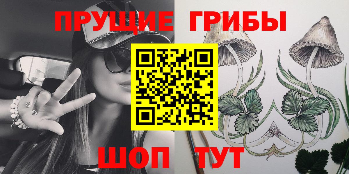 Галлюциногенные грибы Cubensis Прохладный