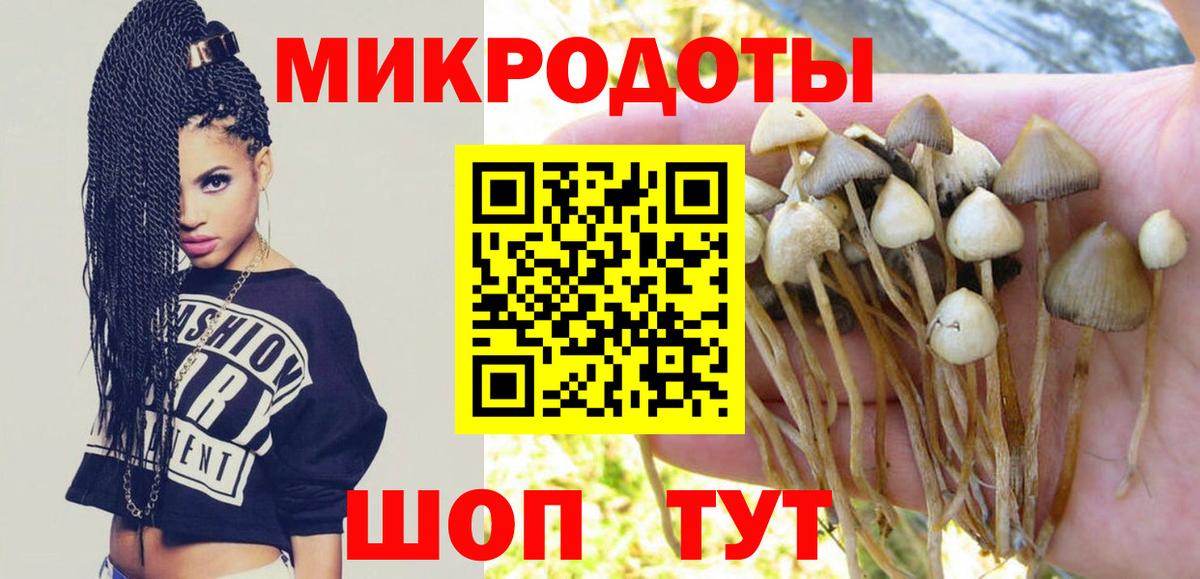 Прохладный  Псилоцибиновые грибы Psilocybe  Вход с VPN  Псилоцибиновые грибы GOLDEN TEACHER 